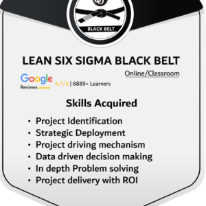 Lean Six Sigma Black Belt