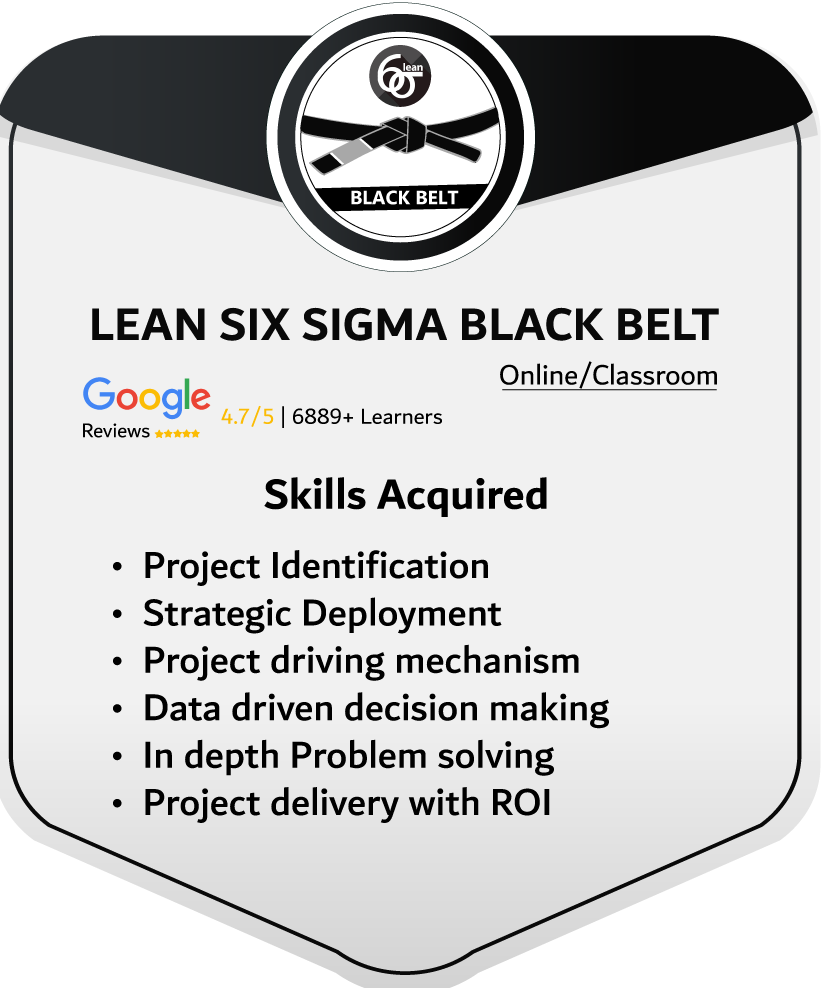 Lean Six Sigma Black Belt